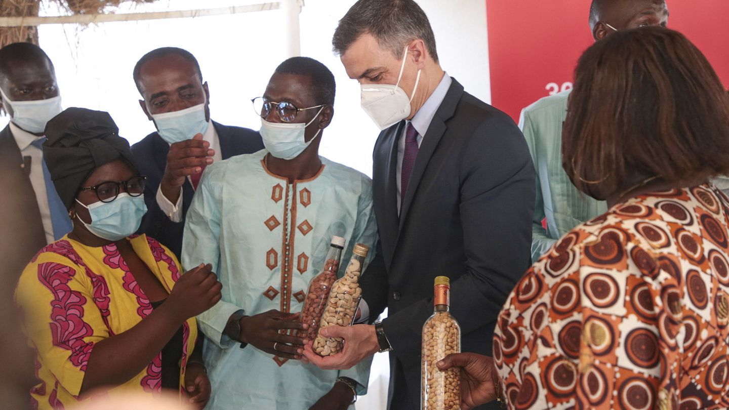 El presidente del Gobierno, Pedro Sánchez, en su visita a Senegal. (EFE)