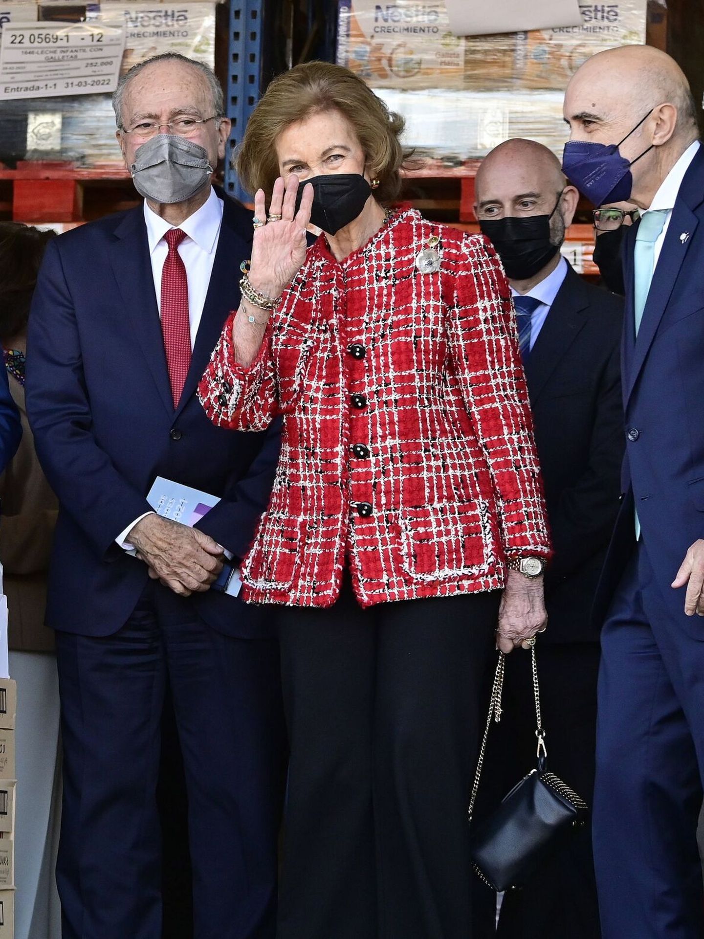 La reina Sofía, en Bancosol. (EFE/Jorge Zapata)