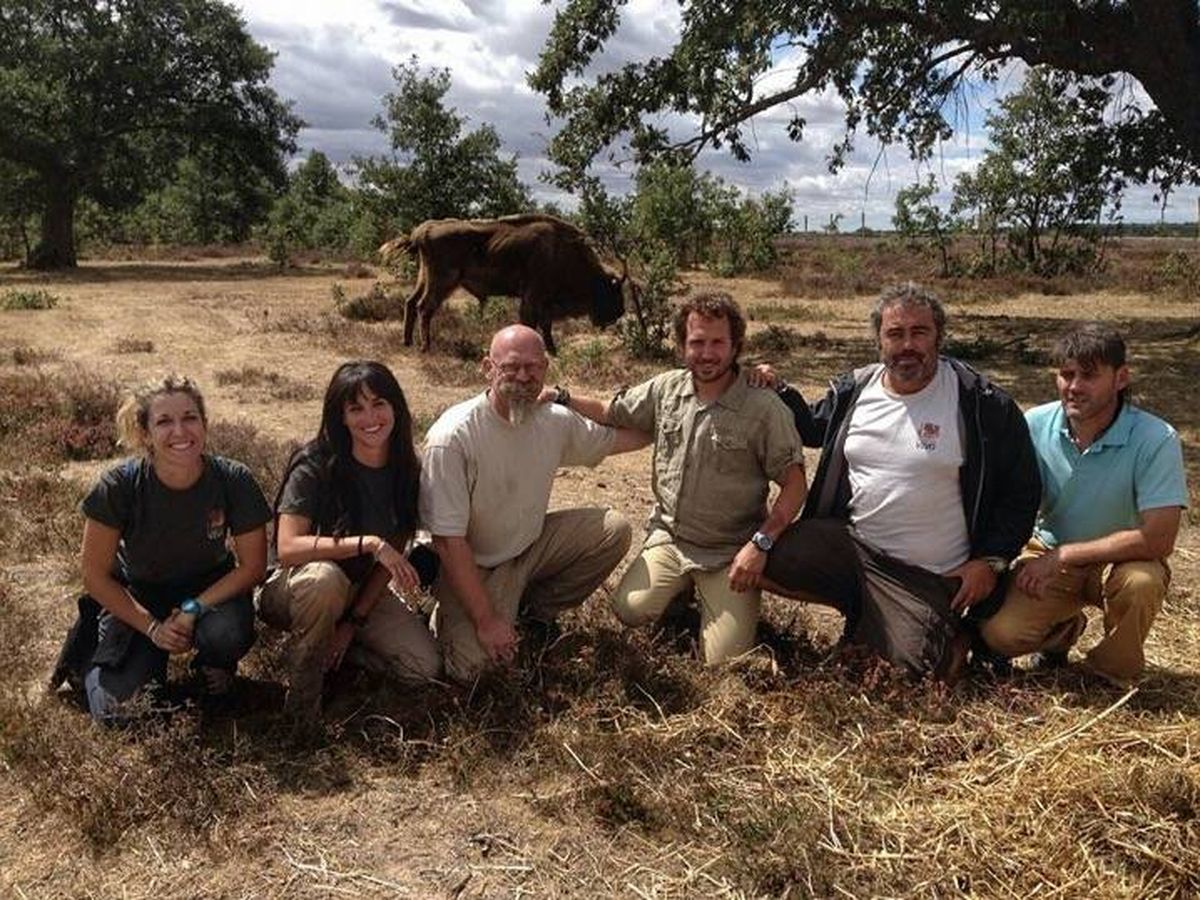 Foto: Equipo de Paleolítico Vivo en la llegada de los primeros bisontes (2015)
