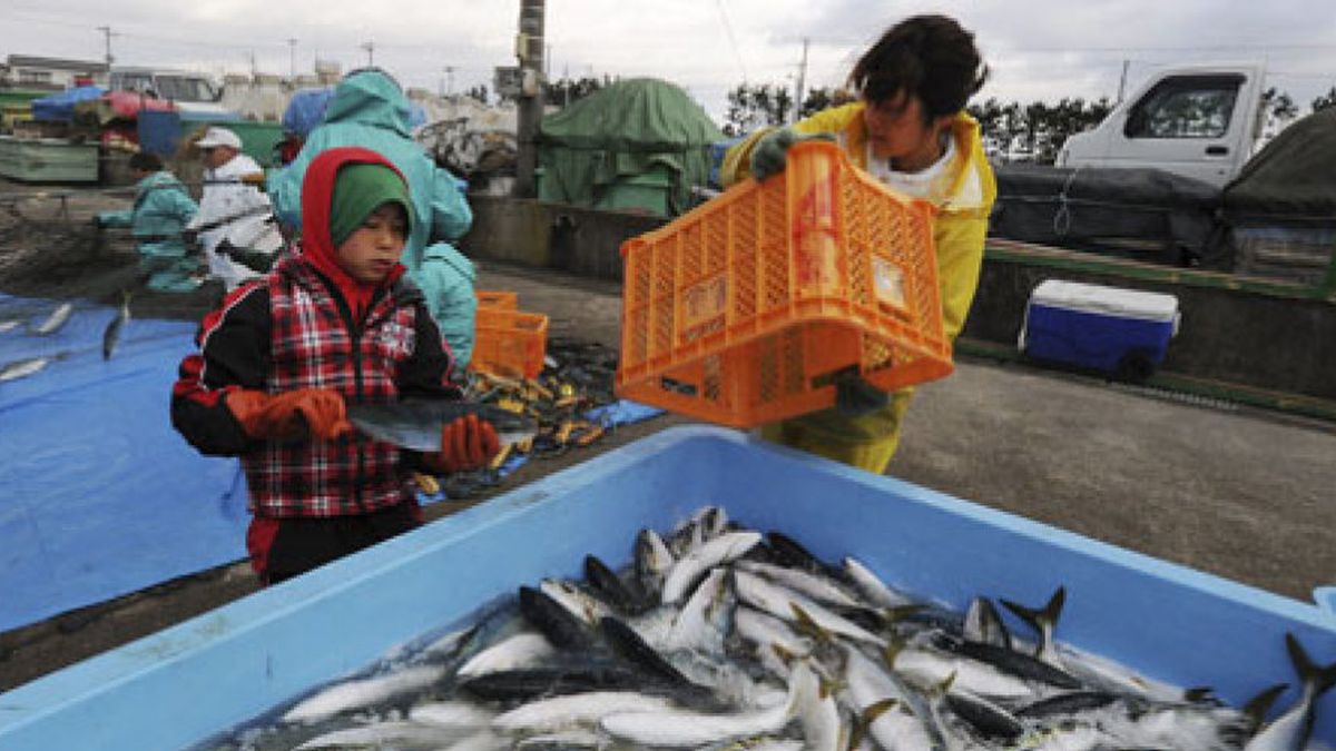 Alerta en Japón: la radiación supera 3.355 veces el límite de lo permitido en el mar cerca de Fukushima