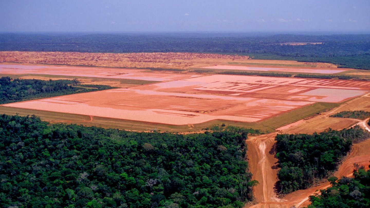 En la Amazonia están desapareciendo grandes extensiones de bosque. (iStock)