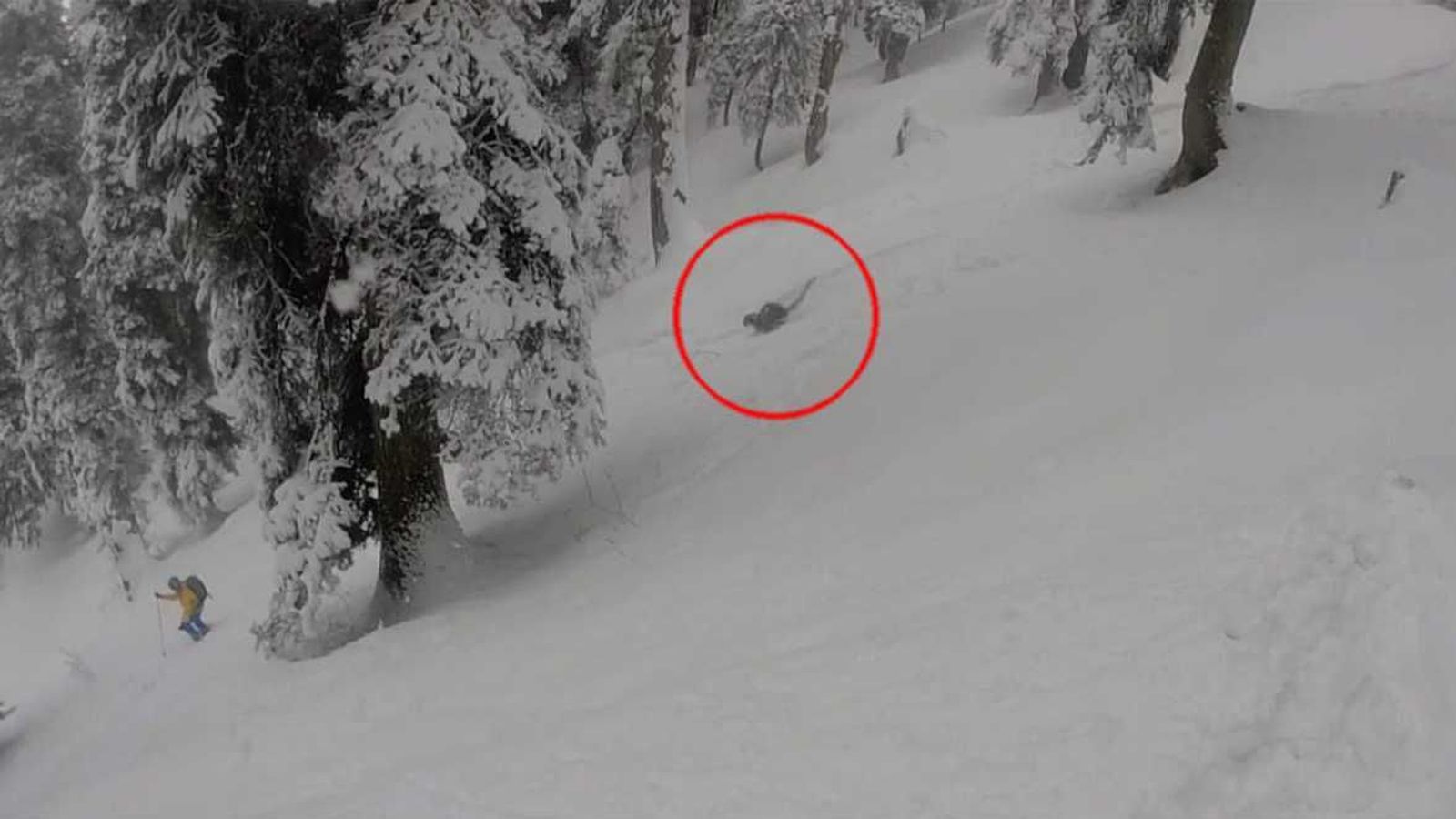 Foto: El supuesto leopardo de las nieves encontrado por los esquiadores (Facebook/Owen Lansbury)