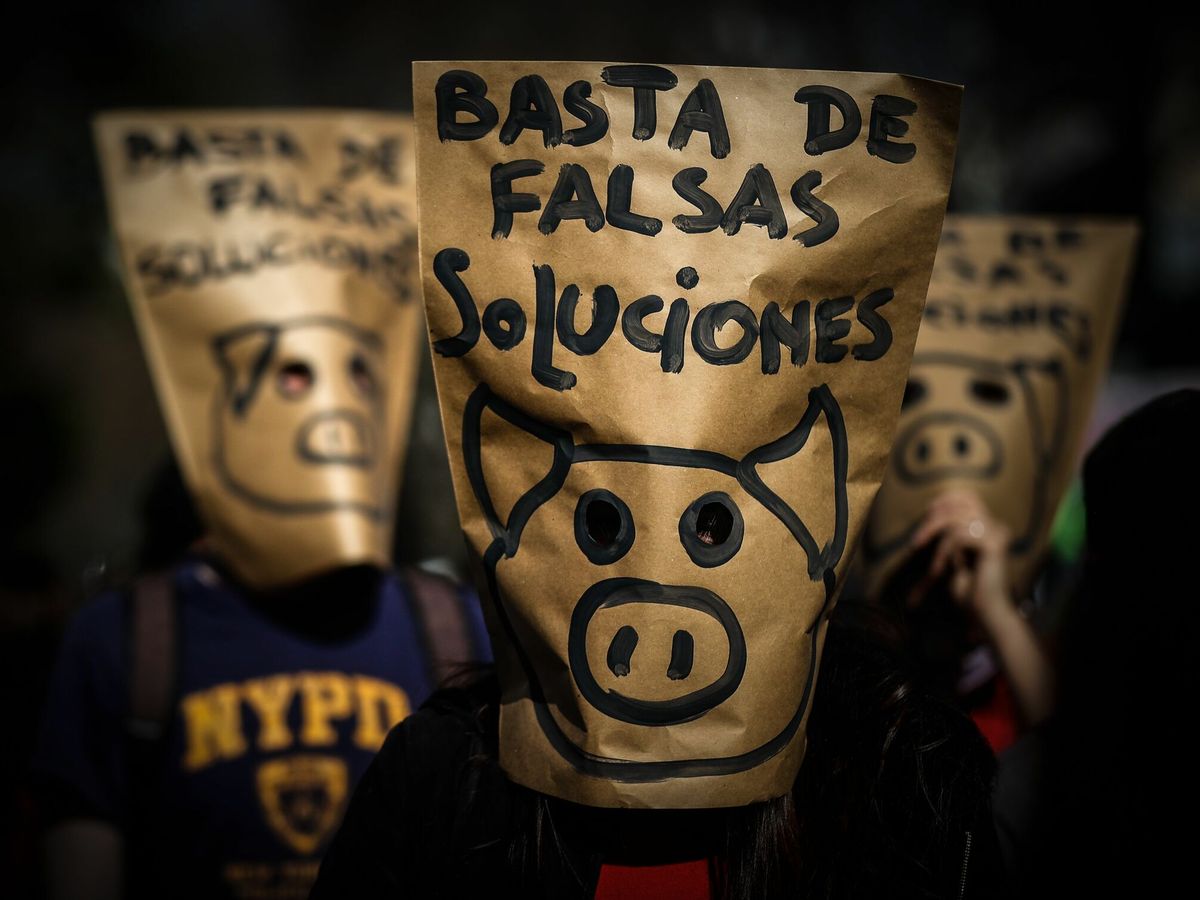 Foto: Protesta contra la producción a gran escala de carne de cerdo. (EFE/Juan Ignacio Roncoroni)