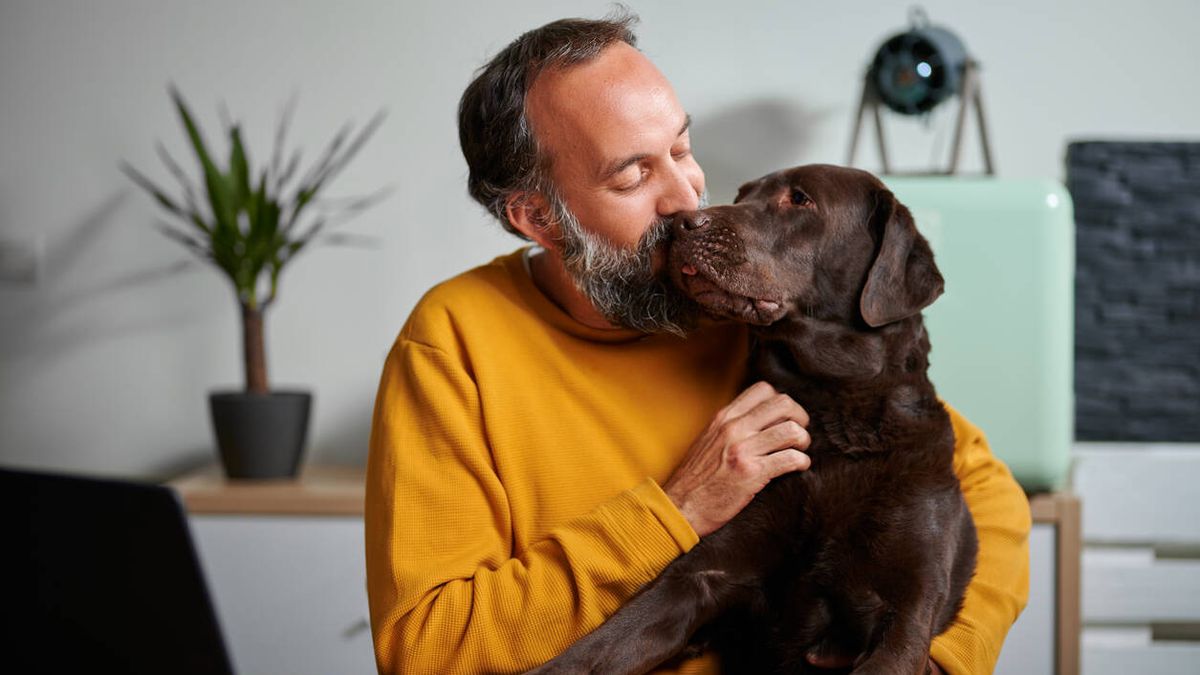 Descubre cómo mejorar la relación con tu perro con estos cursos gratuitos que ofrece Barcelona 
