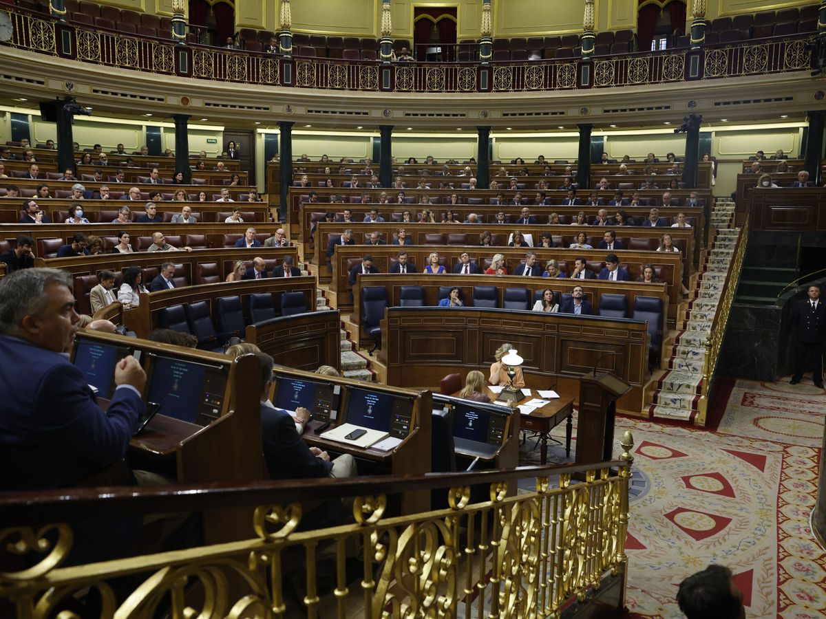 Foto: Vista general del pleno celebrado en el Congreso de los Diputados. (EFE/Guillén)