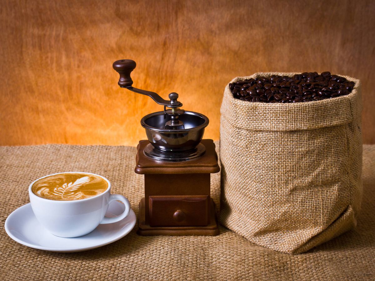 Los 5 mejores MOLINILLOS de café eléctricos calidad precio 