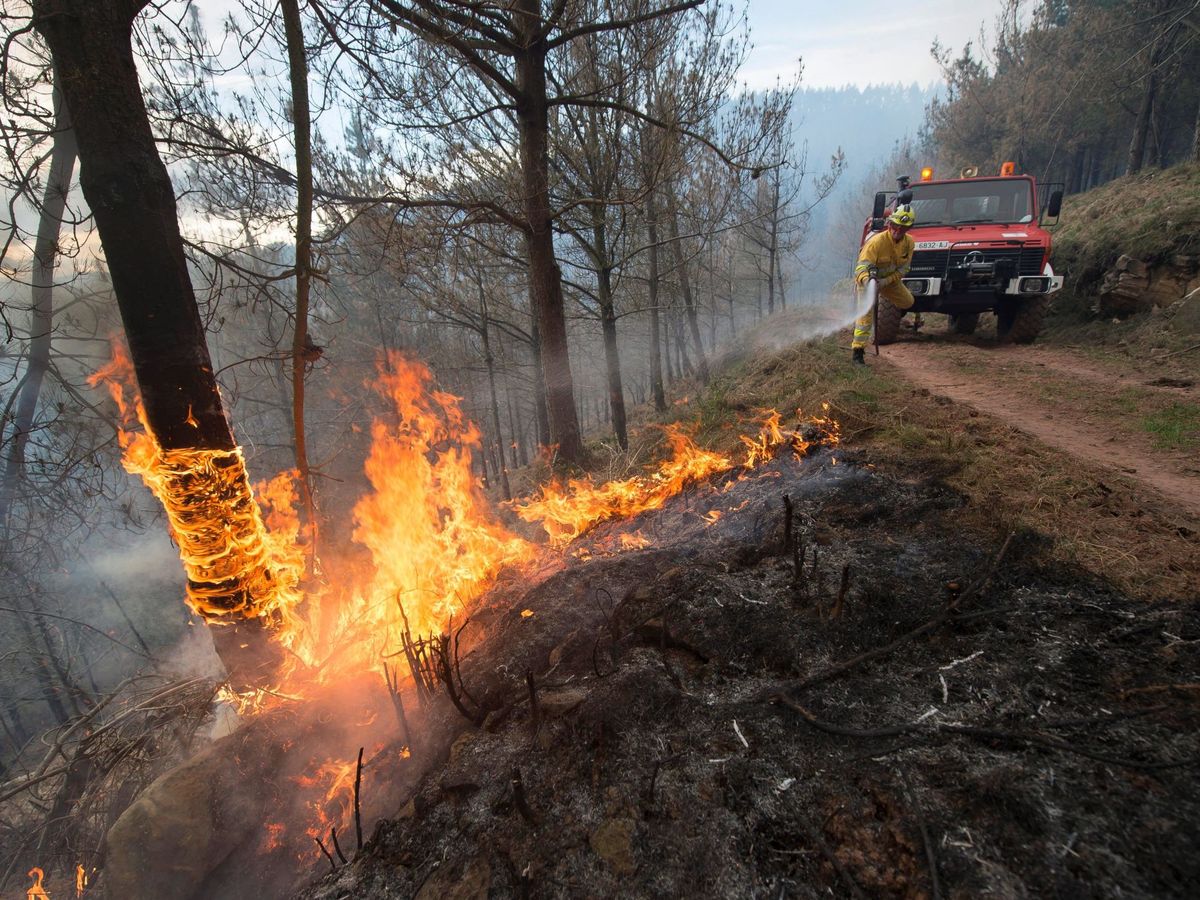 Foto: Agentes de montes de Cantabria apagan un incendio forestal en los montes de la localidad cántabra de Vargas. (EFE/Pedro Puente Hoyos)