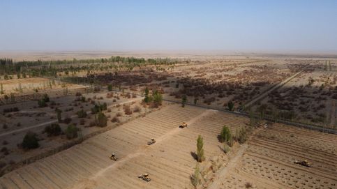 China quiere convertir los desiertos en tierras cultivables