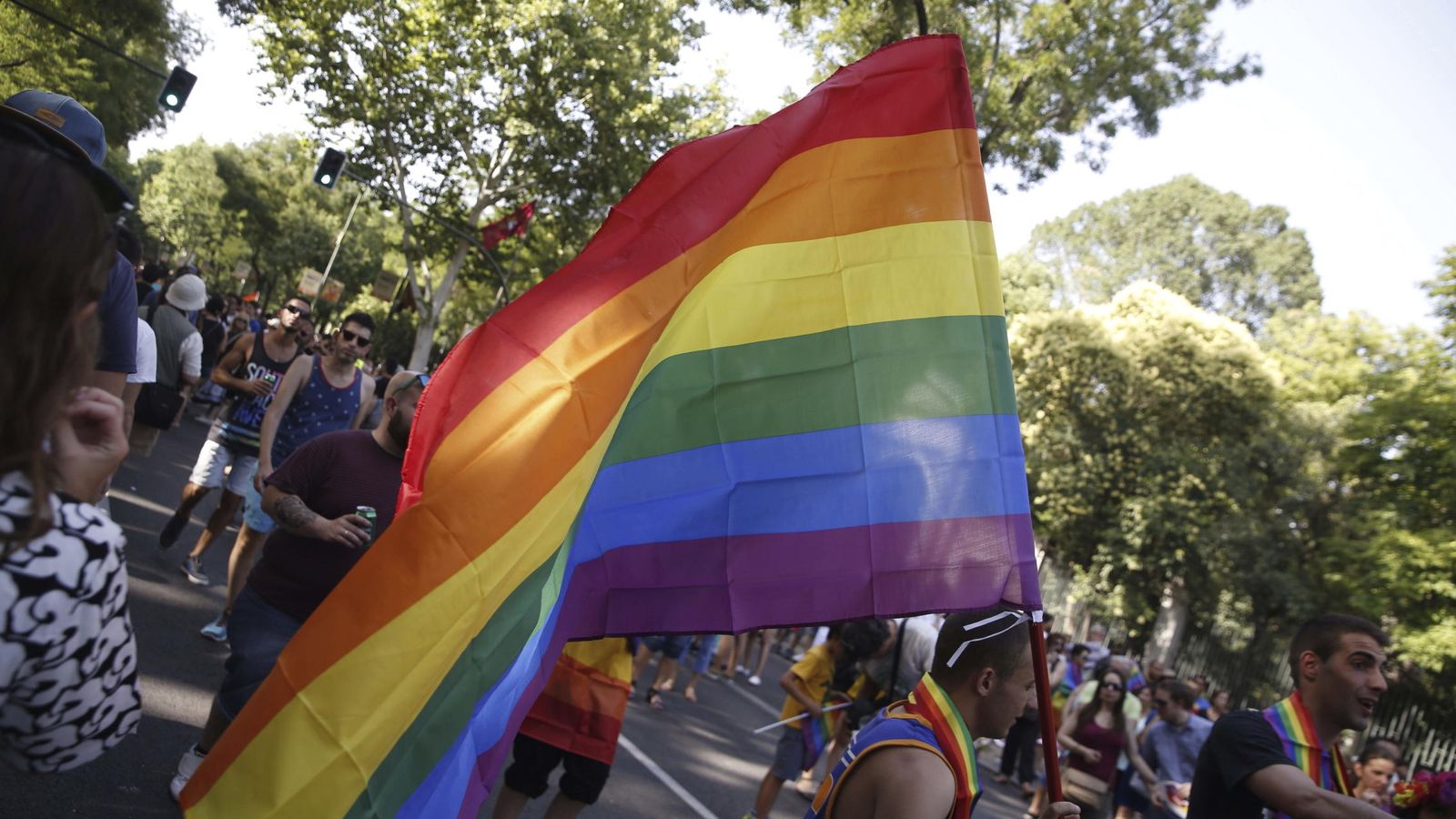 Foto: Un participante porta la bandera del orgullo gay en el recorrido por las calles de Madrid con el lema 'Leyes por la igualdad real ¡ya!'. (EFE)