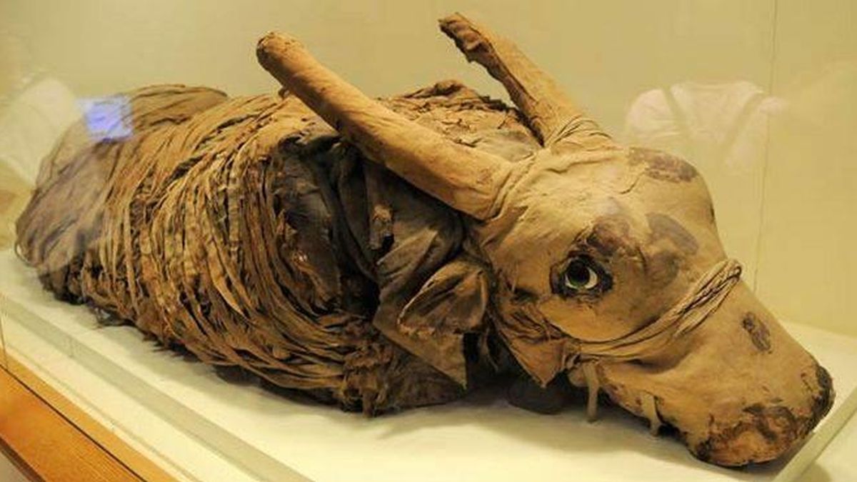 Momias huecas para engañar a los dioses egipcios
