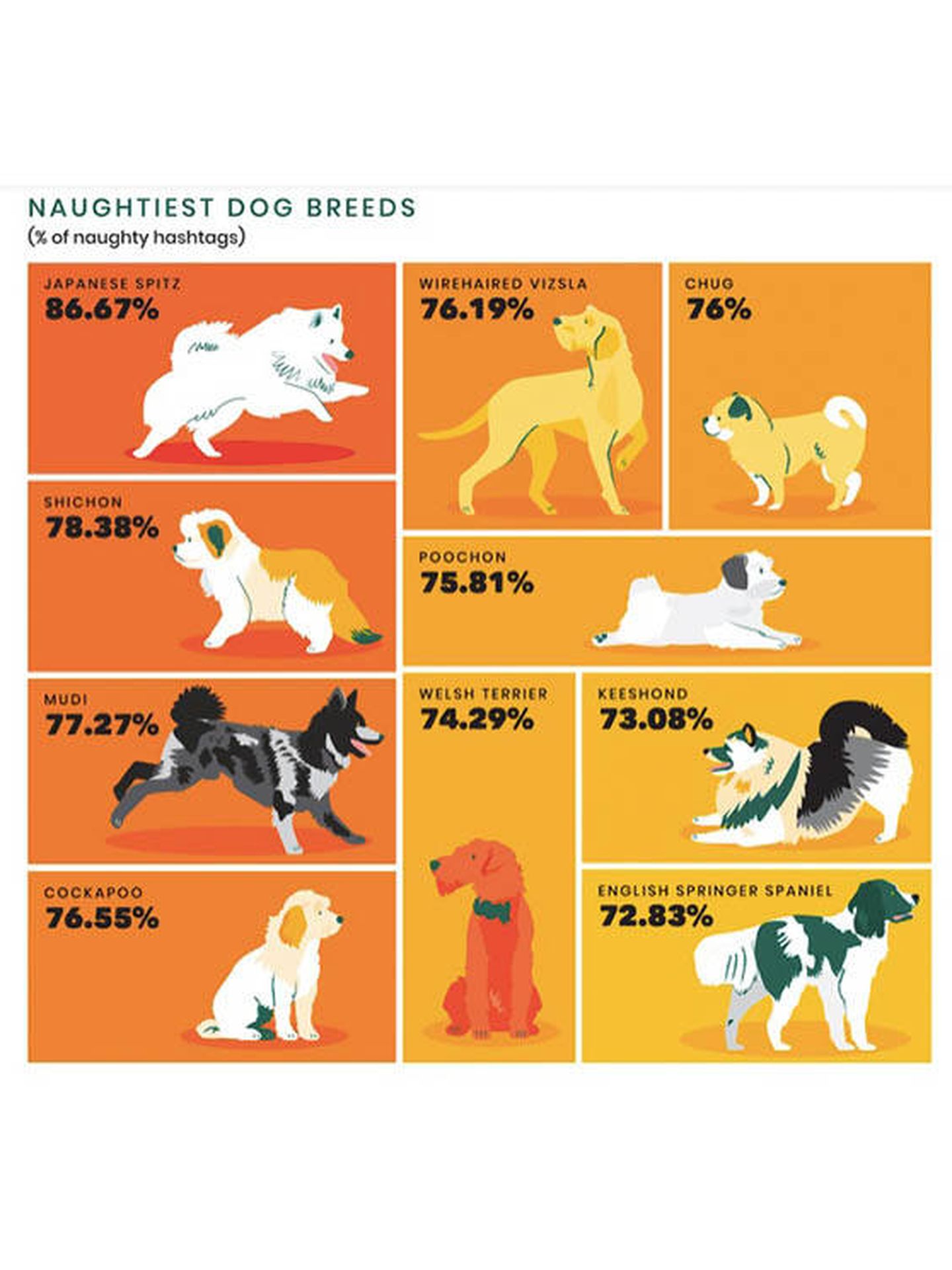 Los perros más traviesos según instagram (Protect My Paws)