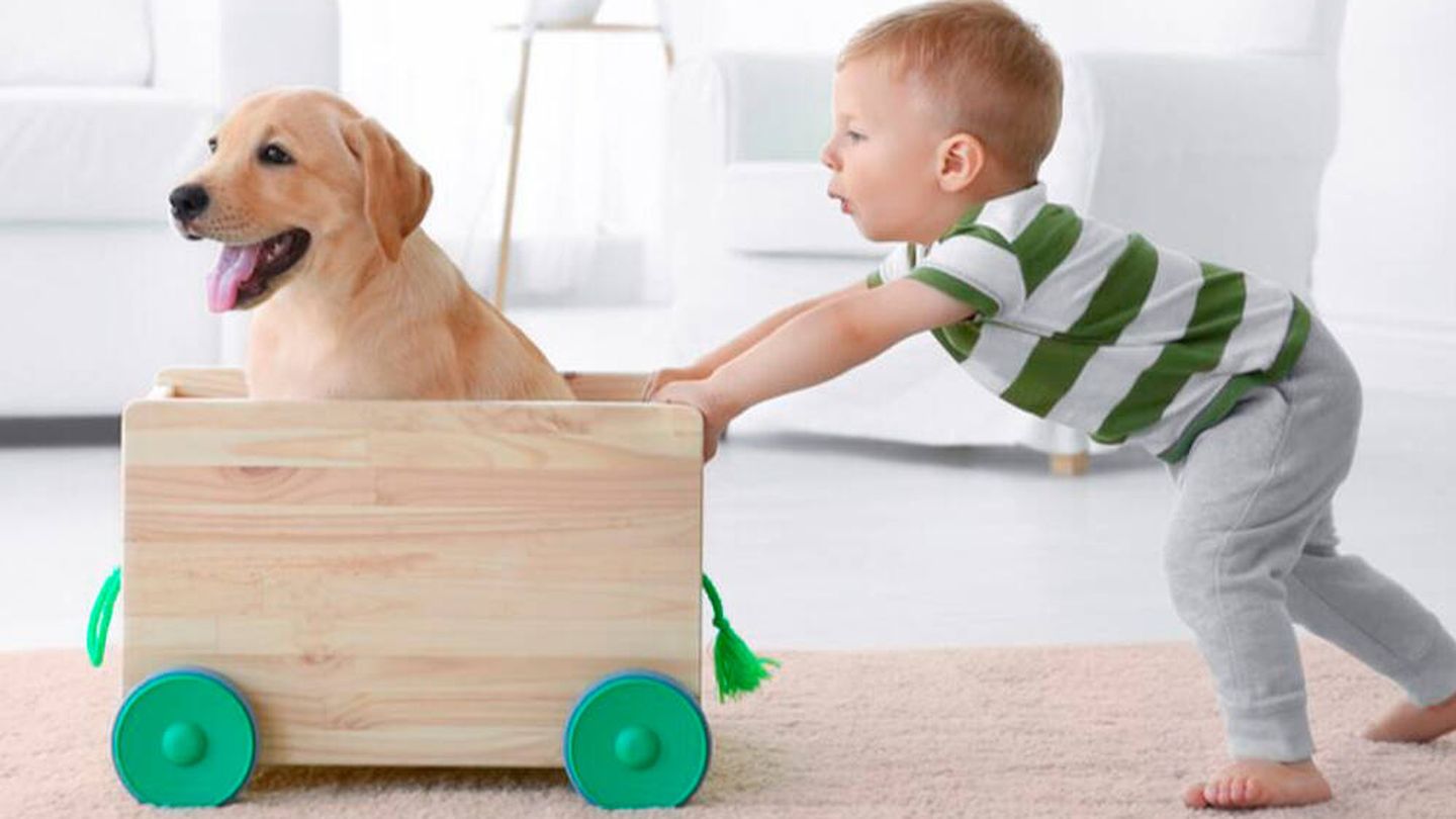 Los niños también pueden y deben interactuar con sus perros (iStock)