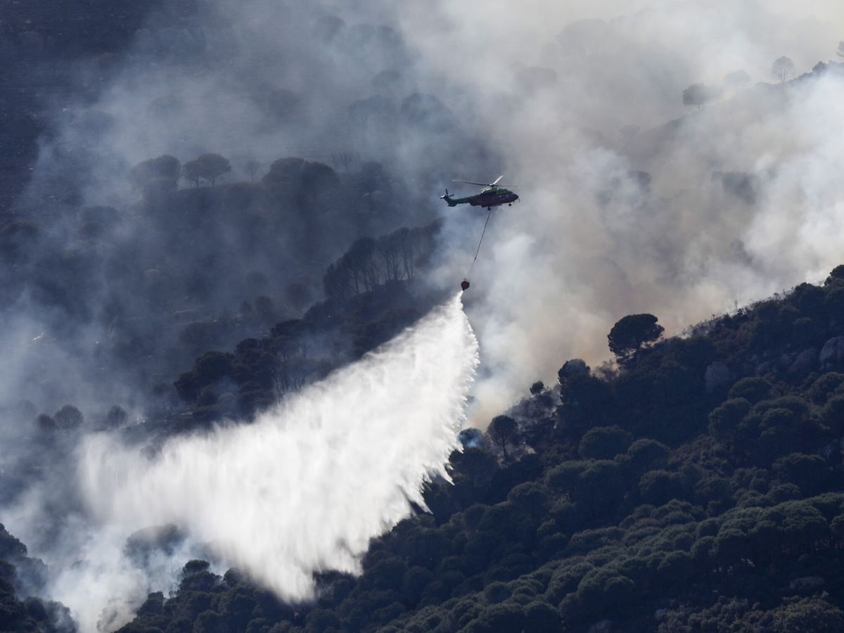 Foto: El incendio en Tarifa permanece activo. (EFE/A. Carrasco Ragel)