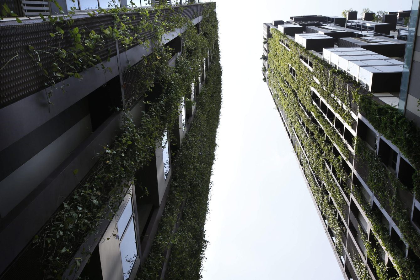 Jardines verticales adornan dos edificios en Bangkok. (EFE/Barbara Walton)