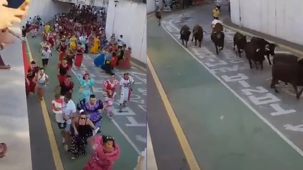 Sueltan nueve toros en un municipio de Alicante mientras desfilaban niños y jóvenes en un pasacalle
