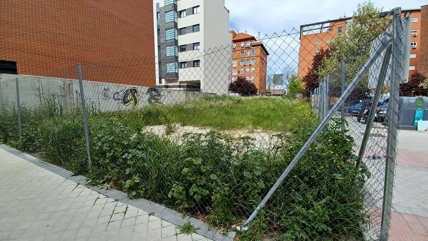 Las 'malas hierbas' en Madrid. 