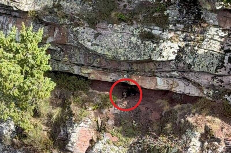 Foto de Rescatan en helicóptero a un perro atrapado en una zona de difícil acceso en Lebeña