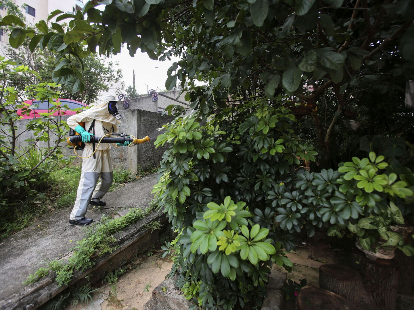 Labores de fumigación en Brasil contra el mosquito que transmite el dengue. (Sebastião Moreira/EFE)