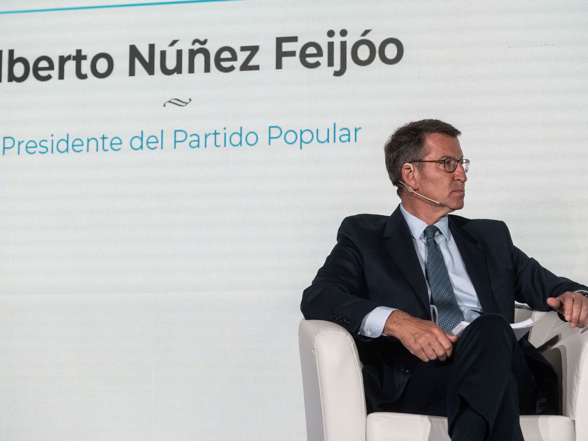 Foto: El líder del PP, Alberto Núñez Feijóo. (EFE/Fernando Villar)