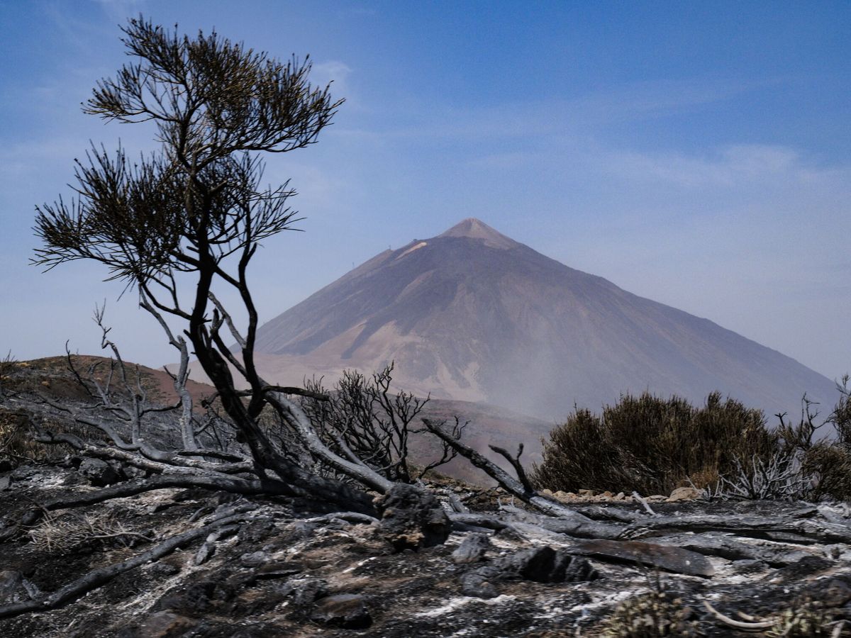 Foto: El Parque Nacional del Teide, tras el paso del incendio forestal que afecta a la isla. (EFE/Alberto Valdés)