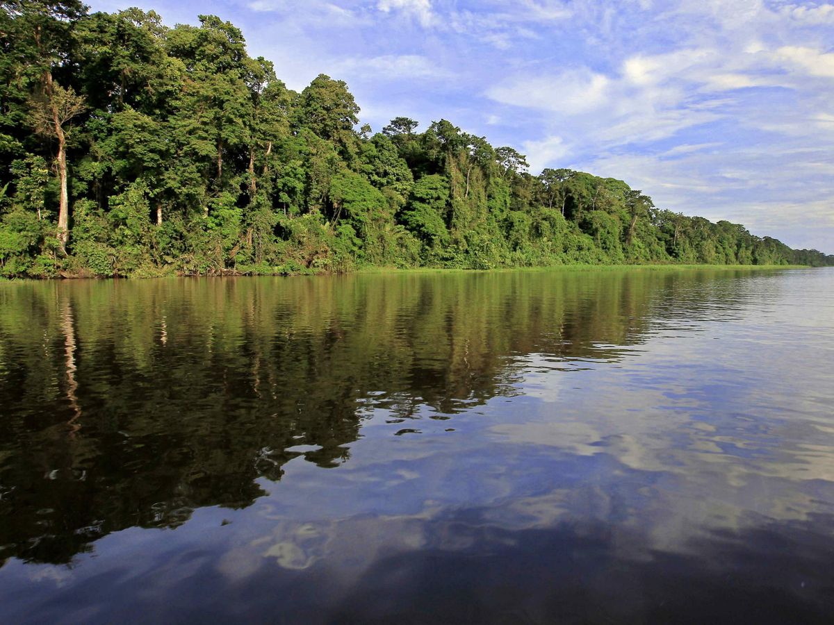 Foto: Parque Nacional de Tortuguero, en Costa Rica (EFE)