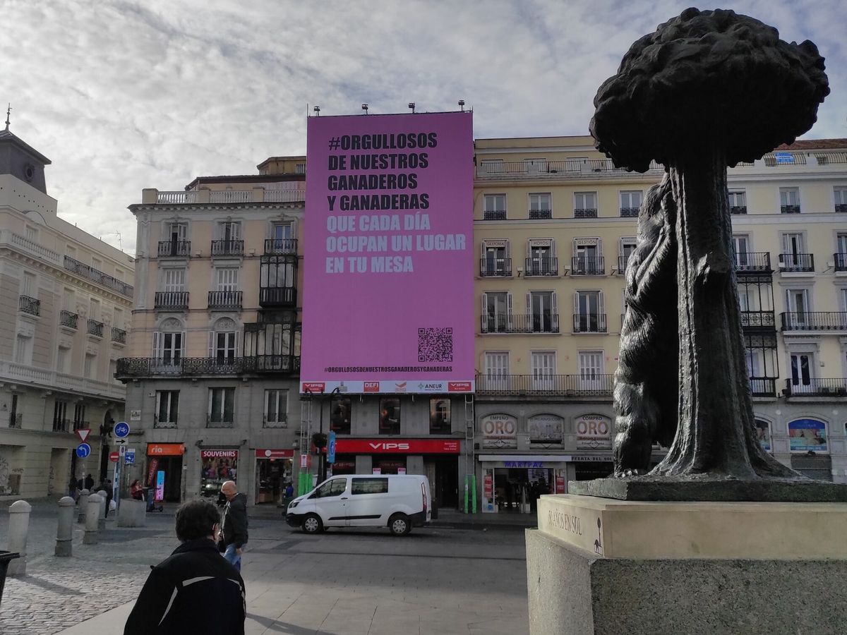 Foto: Lona publicitaria en defensa del sector del cerdo instalada el pasado febrero en la Puerta del Sol. (EFE/Javier Ríos)