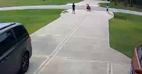 Foto: El pitbull atacó al pequeño cuando estaba jugando con sus amigos. (YouTube)