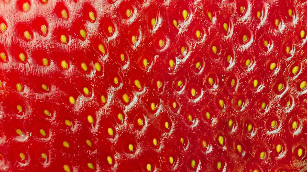 No, los 'puntitos' de las fresas no son semillas. ¿Qué son en realidad?