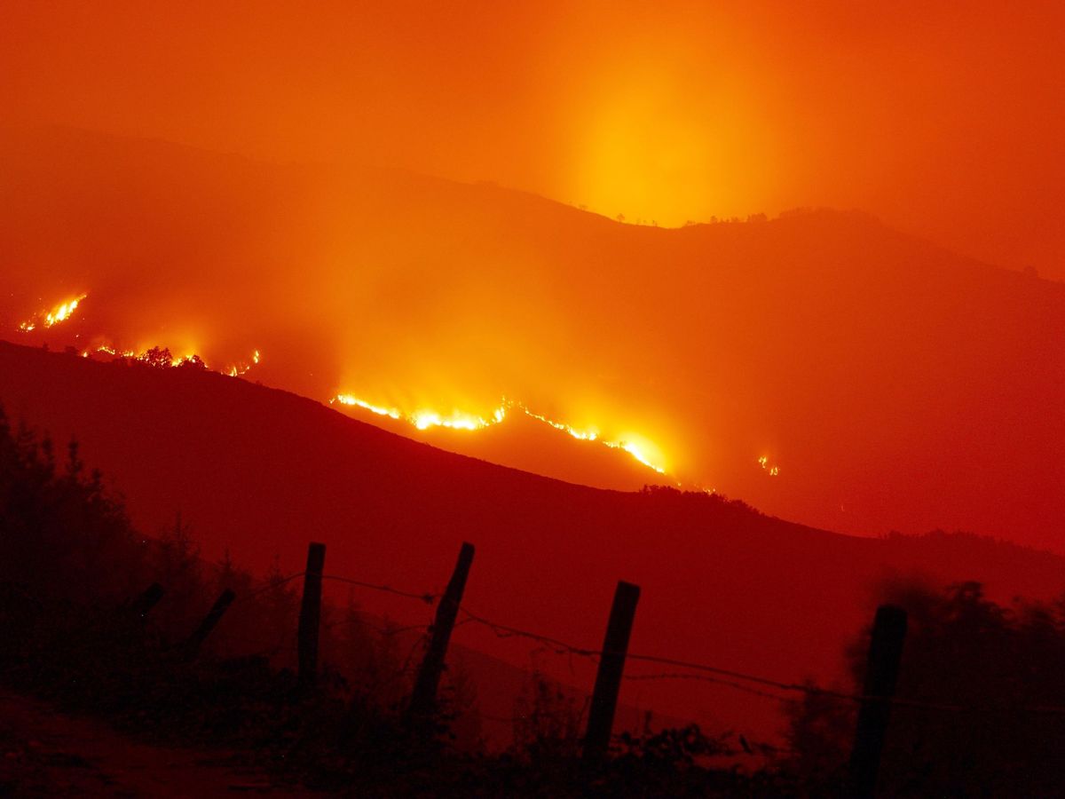 Foto: Las llamas borran paisajes y vidas en la naturaleza (EFE Brais Lorenzo)