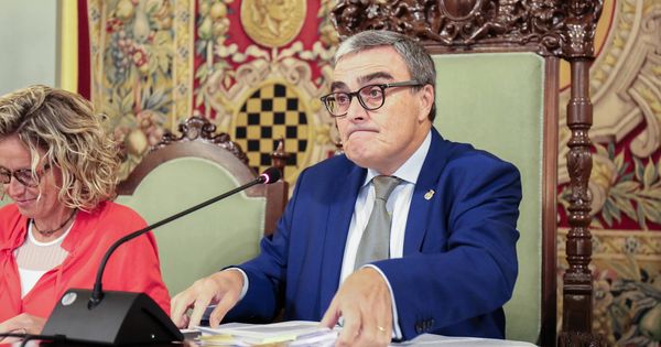 Foto: El alcalde de Lleida, Ángel Ros, durante el pleno municipal de este viernes. (D.B.)