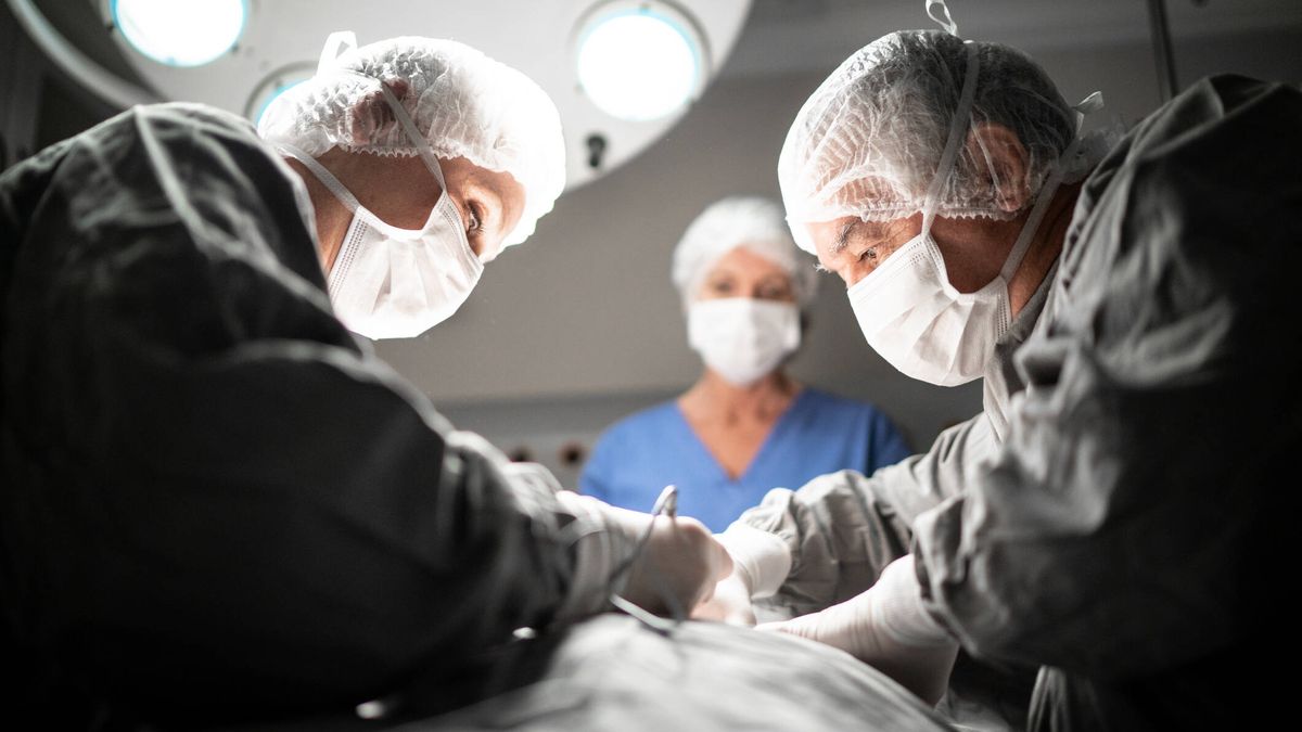Por qué los trasplantes de tejidos son el patito feo de estas cirugías