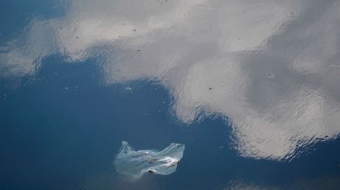 Las bolsas de plástico, historia del aliado de las compras que arrasa con la vida marina