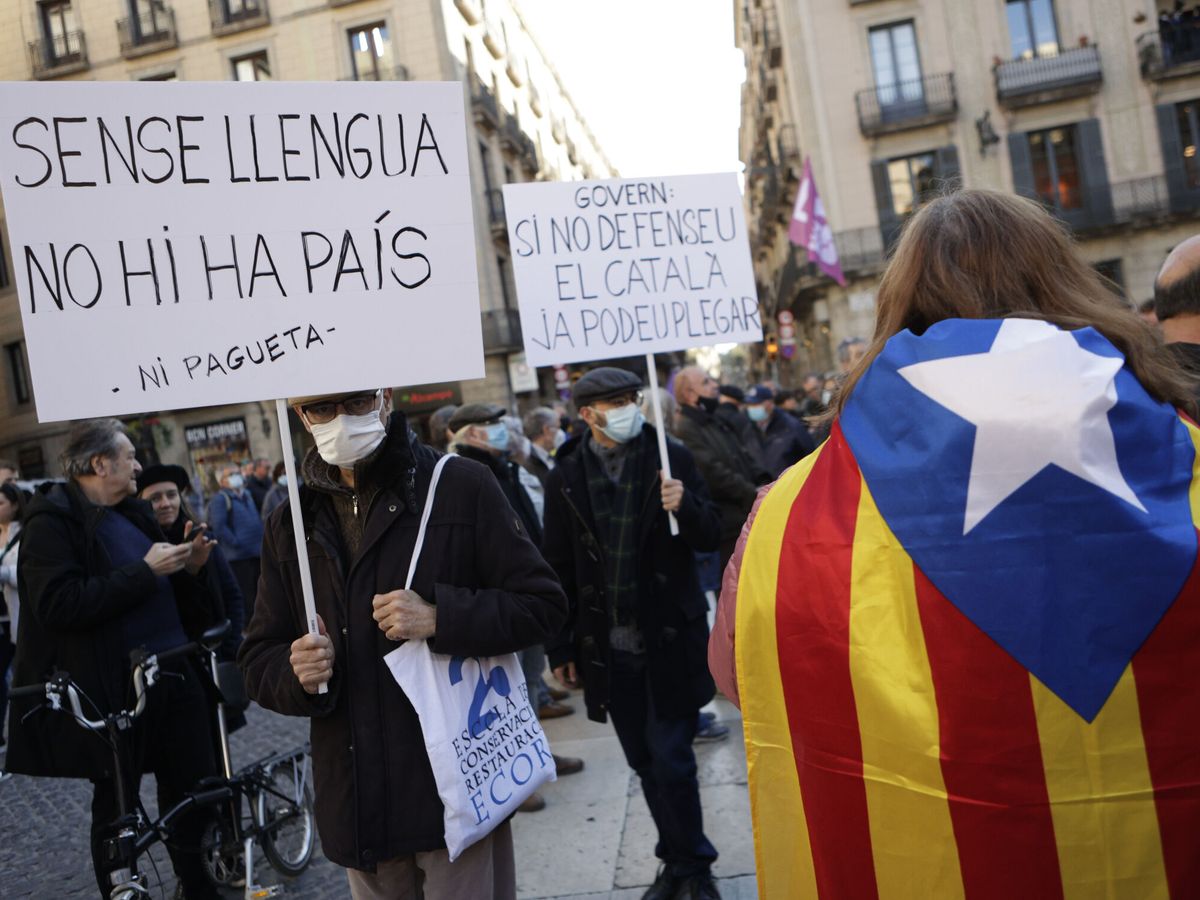 Foto: Manifestación a favor de la inmersión lingüística en catalán y contra pacto del catalán. (EFE/Quique García)