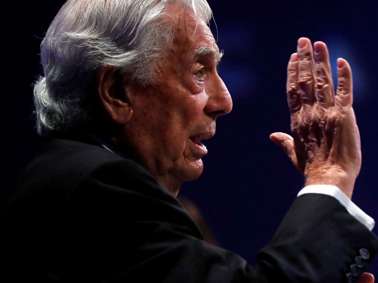 Mario Vargas Llosa. (Efe)