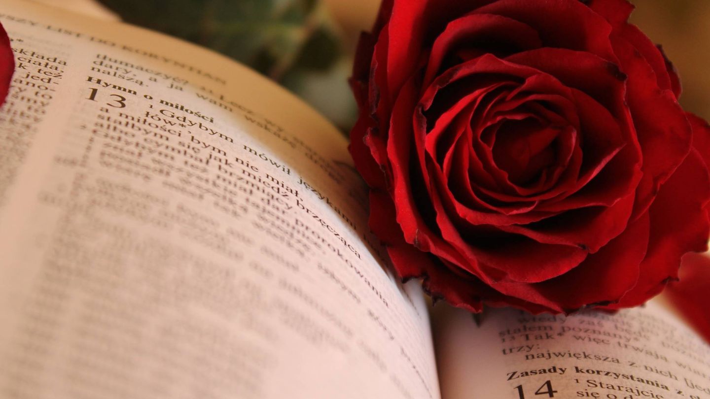 Es costumbre regalar una rosa y un libro el día de Sant Jordi