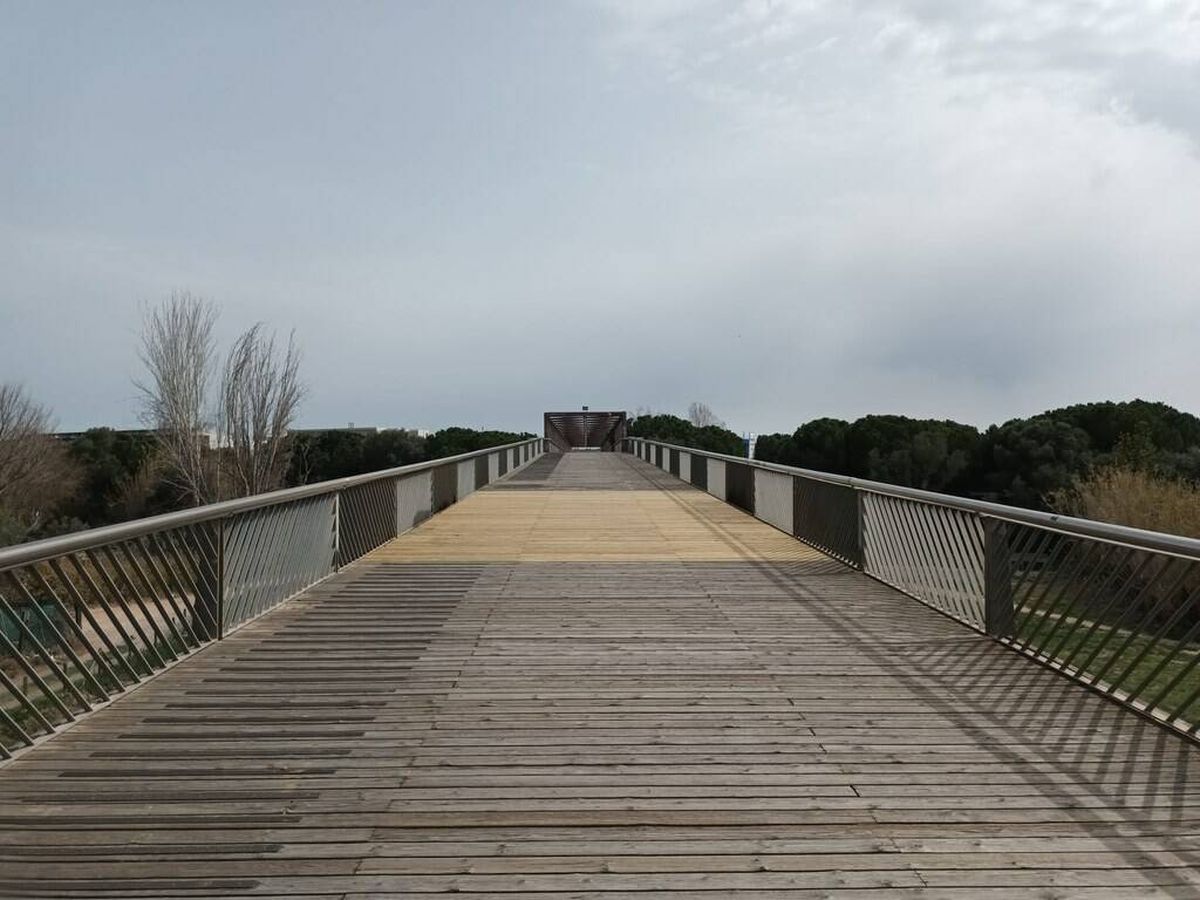 Foto: Vista del nuevo puente de acceso a la UPC de Castelldefels. (Ayuntamiento Castelldefels)