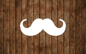 Movember: temporada de bigotes