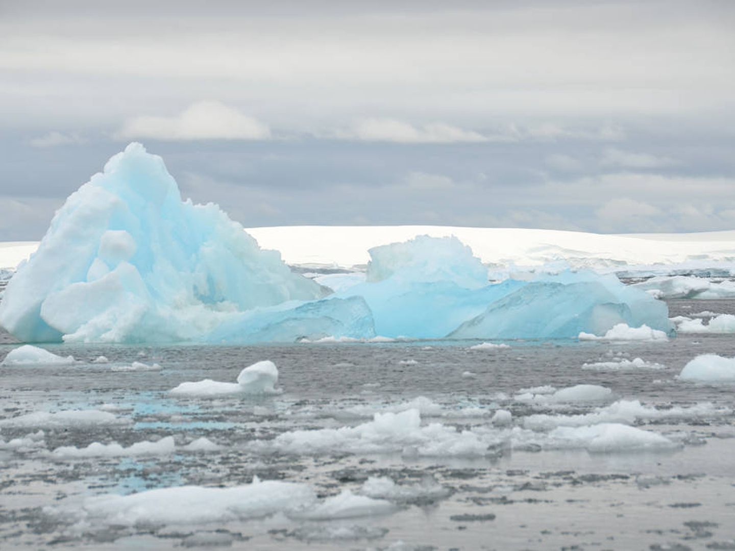 Iceberg en las Islas Fish. (Wikipedia)