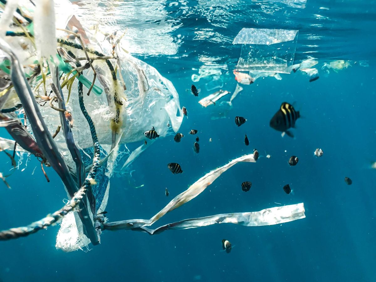 Foto: Plásticos flotando en el mar. (Unsplash)