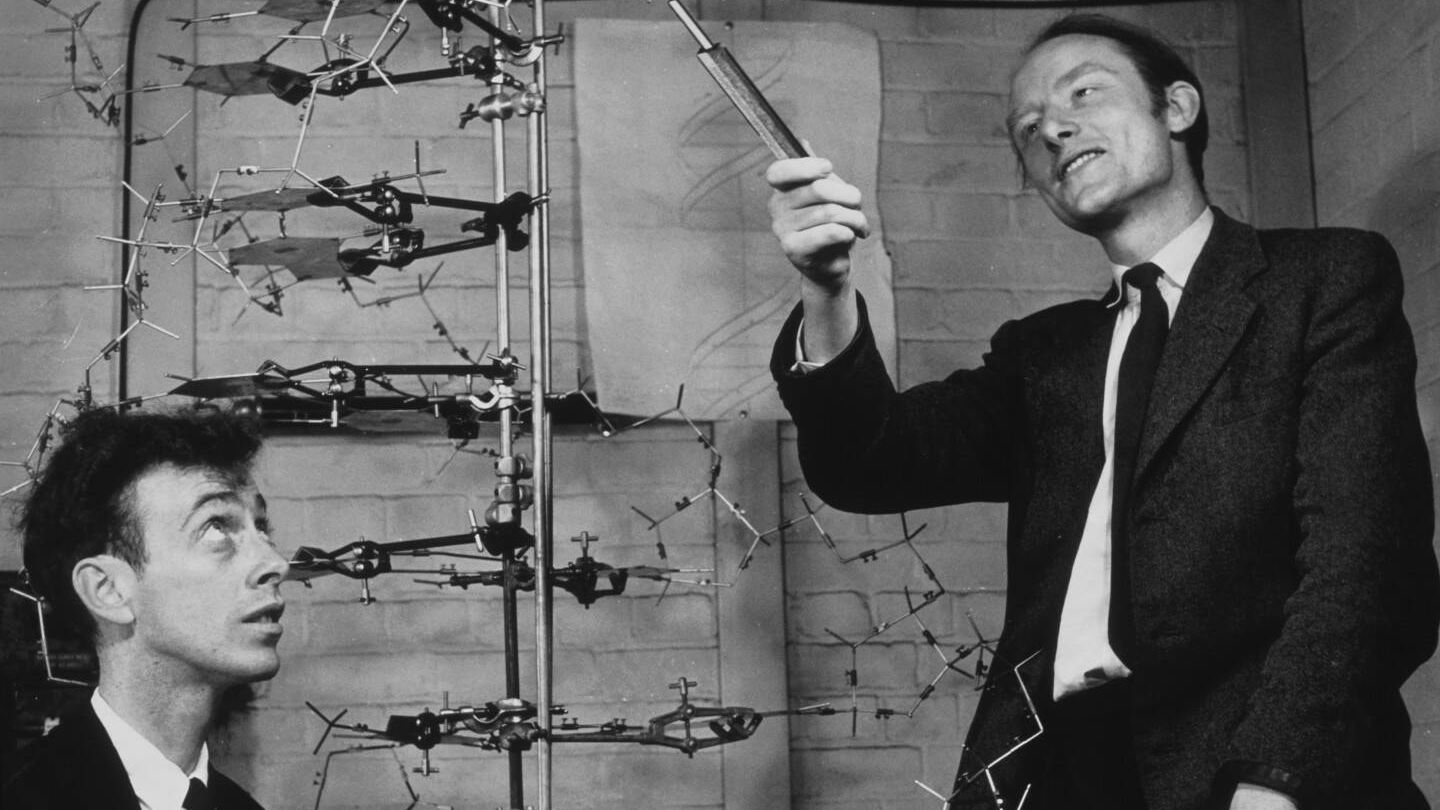 Watson y Crick junto a uno de sus modelos de la molécula del ADN en el Laboratorio Cavendish de Cambridge en 1953. (Cedida)