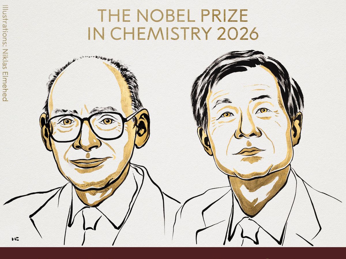 Cientistas vencem Nobel de Química por desenvolverem métodos de produção controlada de moléculas espelhadas