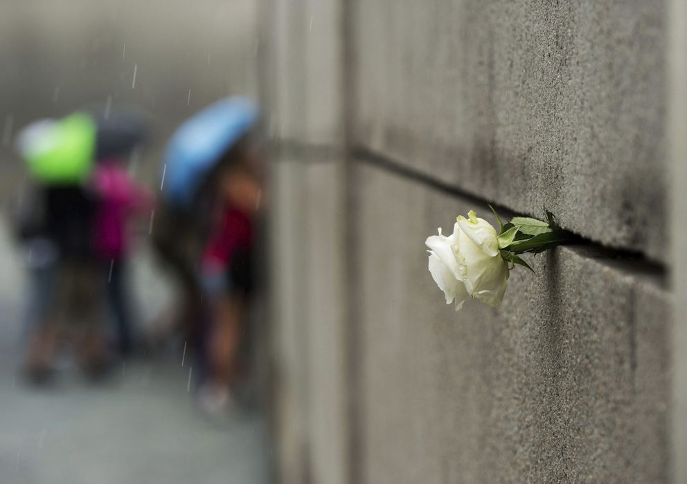 Foto:  Imagen de una flor en el monumento en recuerdo al Muro de Berlín. (EFE)