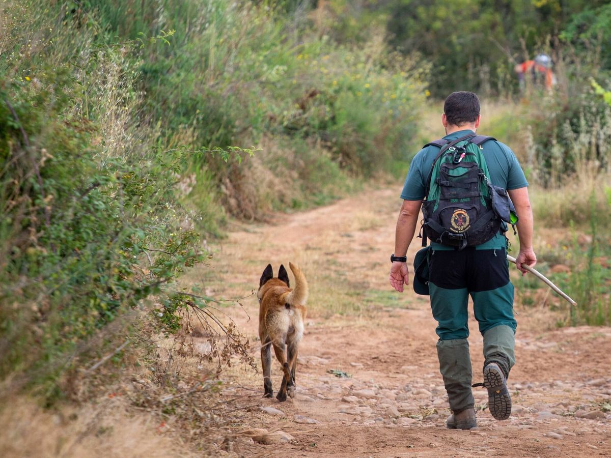 Foto: Los agentes del Seprona salvaron la vida a los animales (EFE/Raquel Manzanares)