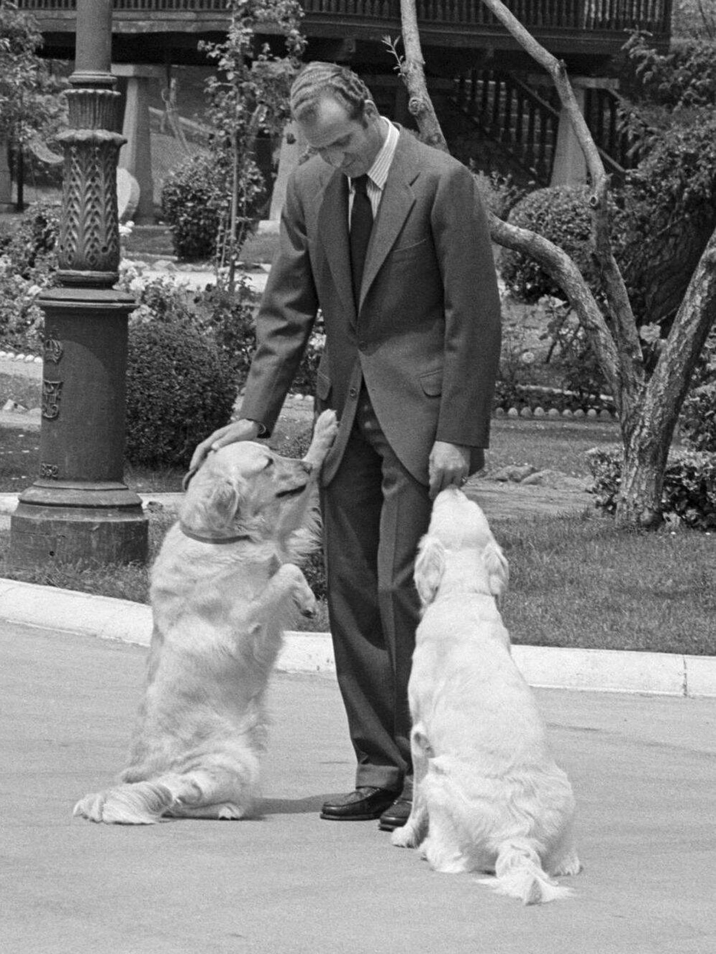 El rey Juan Carlos, con sus perros en una foto de archivo. (Cordon Press)