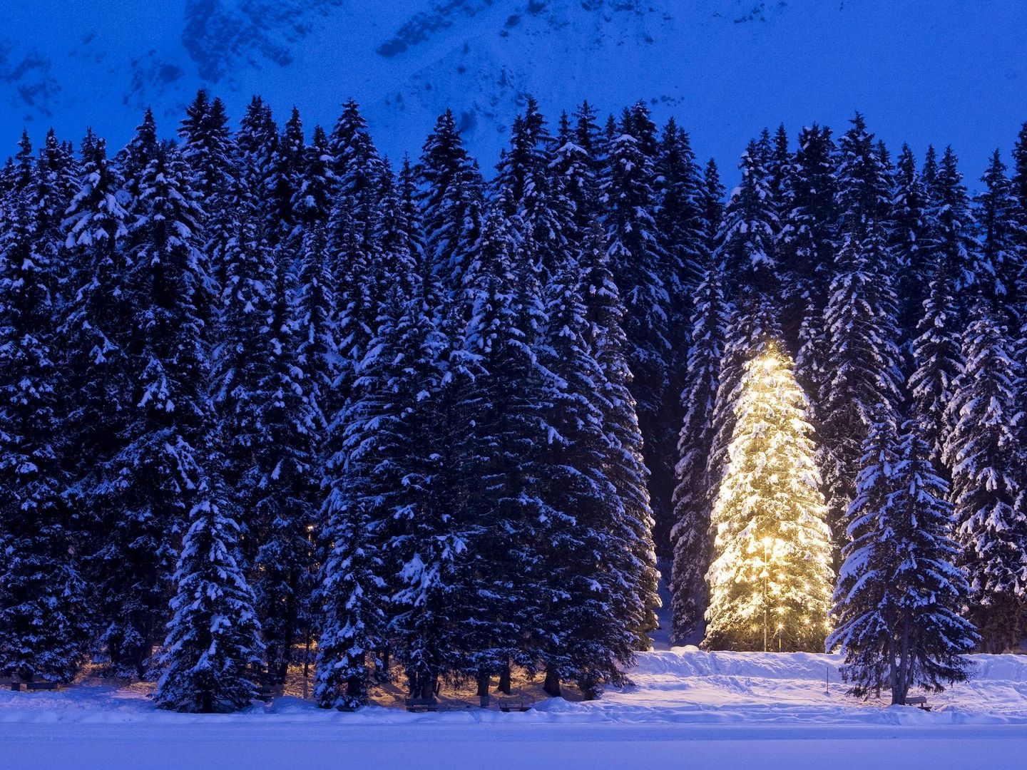 Un árbol decorado de Navidad en una localidad suiza. (EFE/A. Della Bella)