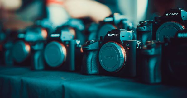 Foto: Si eres novato toma nota antes de comprar tu cámara. (A. Durov / Unsplash)