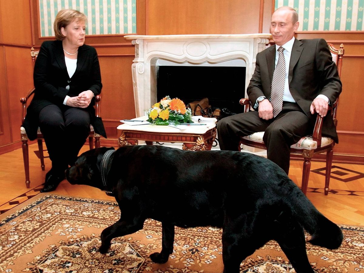 Foto: Merkel, Putin y el perro negro. (EFE/Sergei Chirikov)