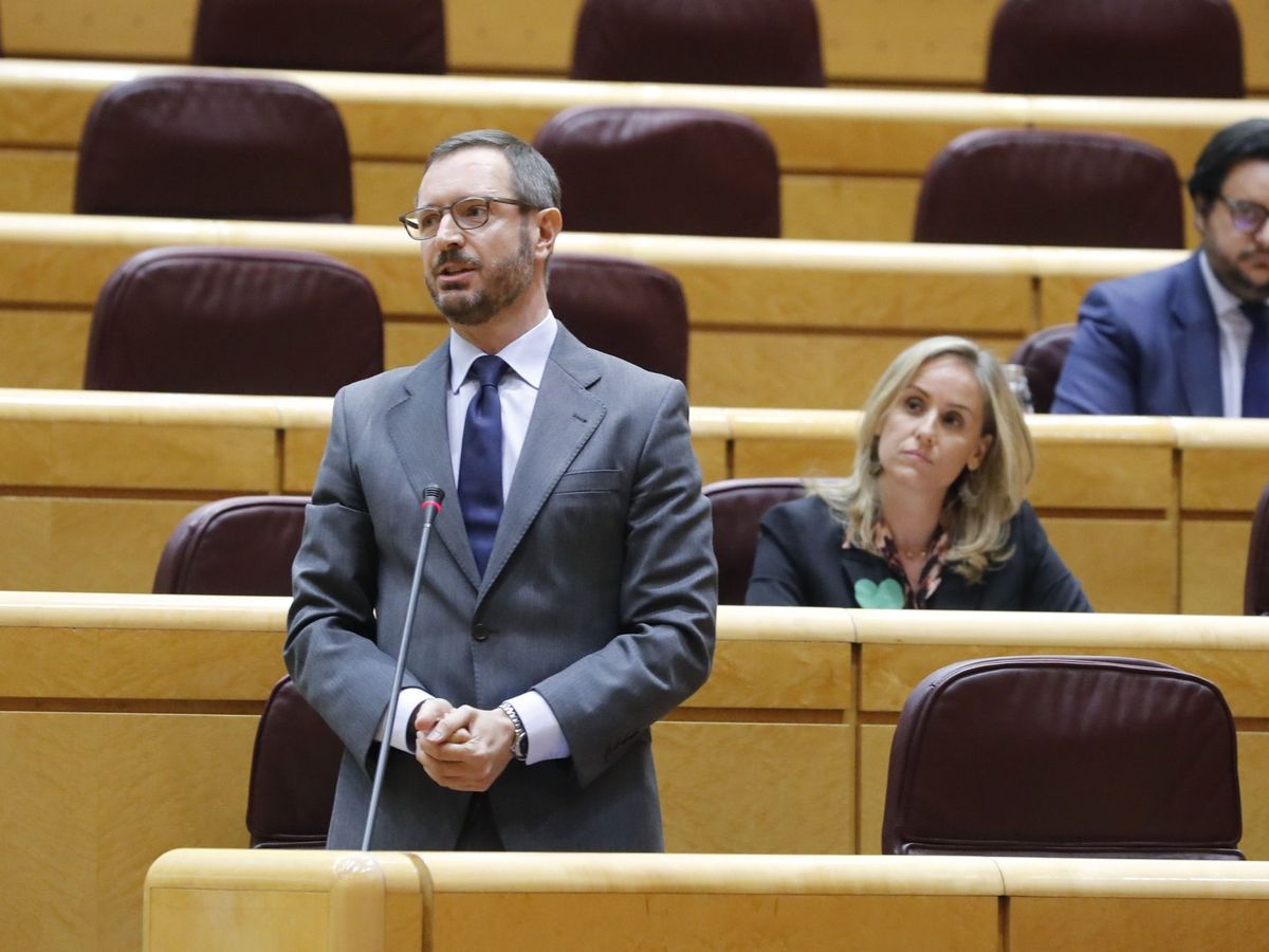 Foto: El portavoz del PP en el Senado, Javier Maroto, interviene este martes en la sesión de control al Gobierno en el Senado. (EFE)