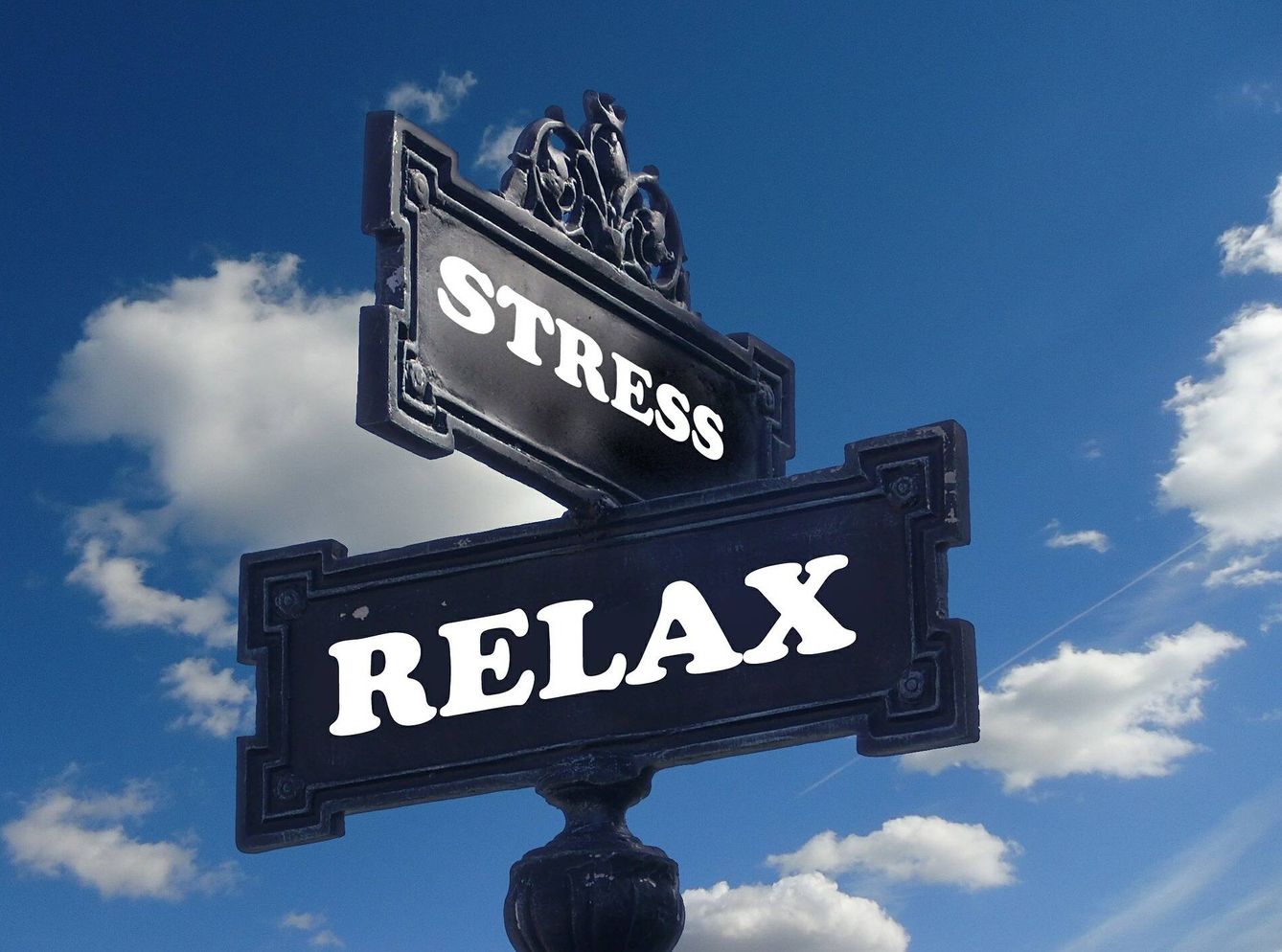 Uno de los beneficios más sorprendentes del estrés es que puede ayudar a construir relaciones interpersonales, que son clave para la salud en general. (Pixabay)