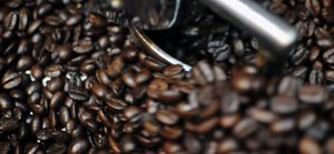 Escaso y caro: el café es el nuevo oro negro